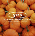 Your Employment Solutions